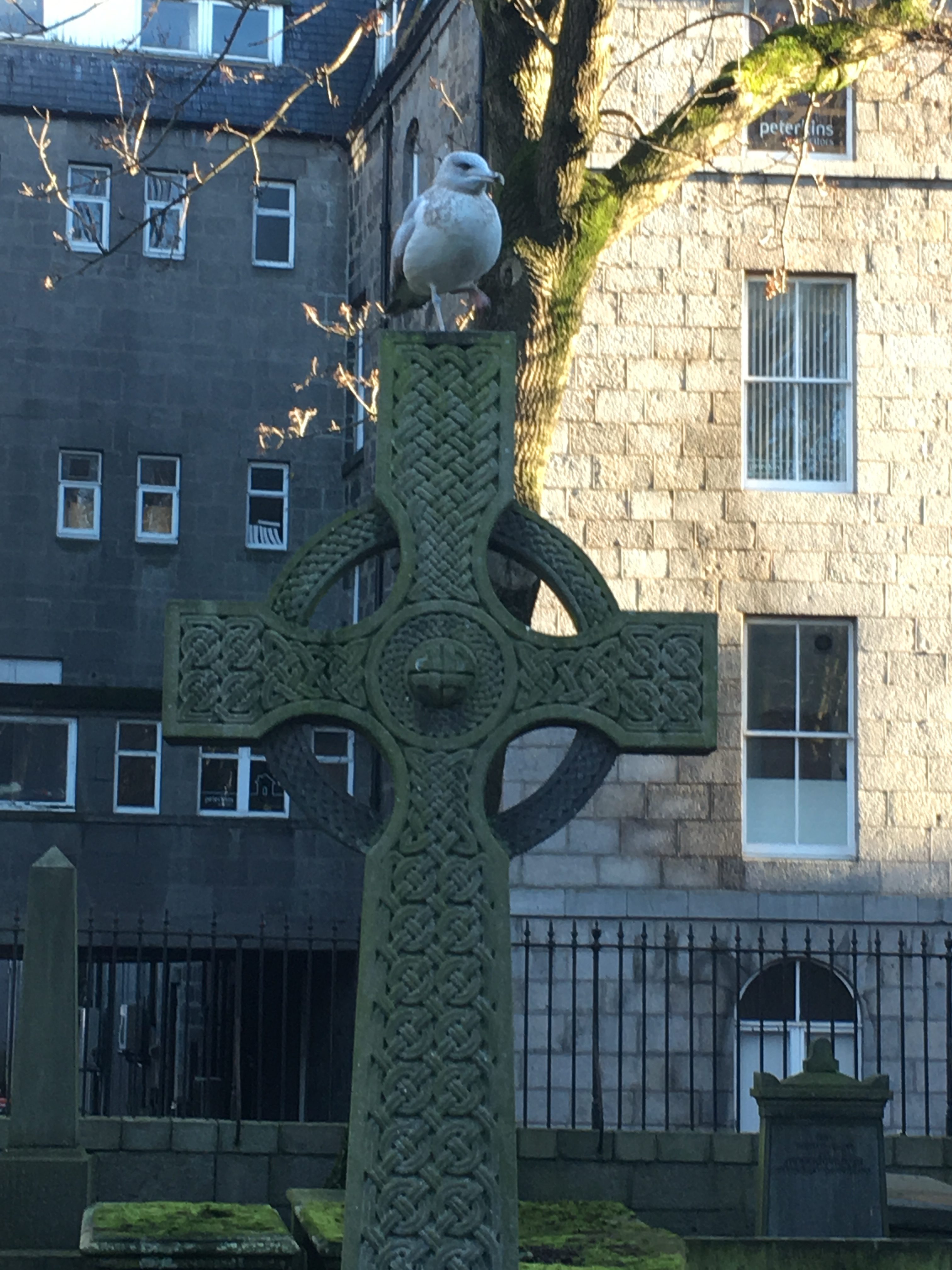In Aberdeen