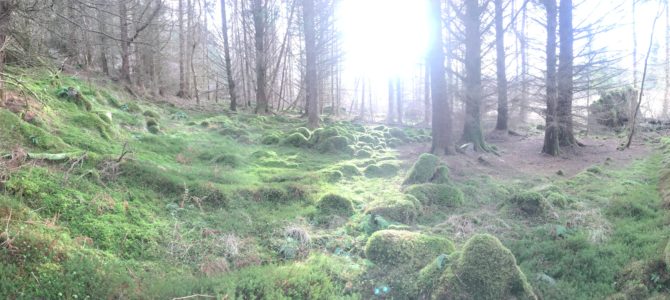 Two Nature Walks on the Isle of Skye