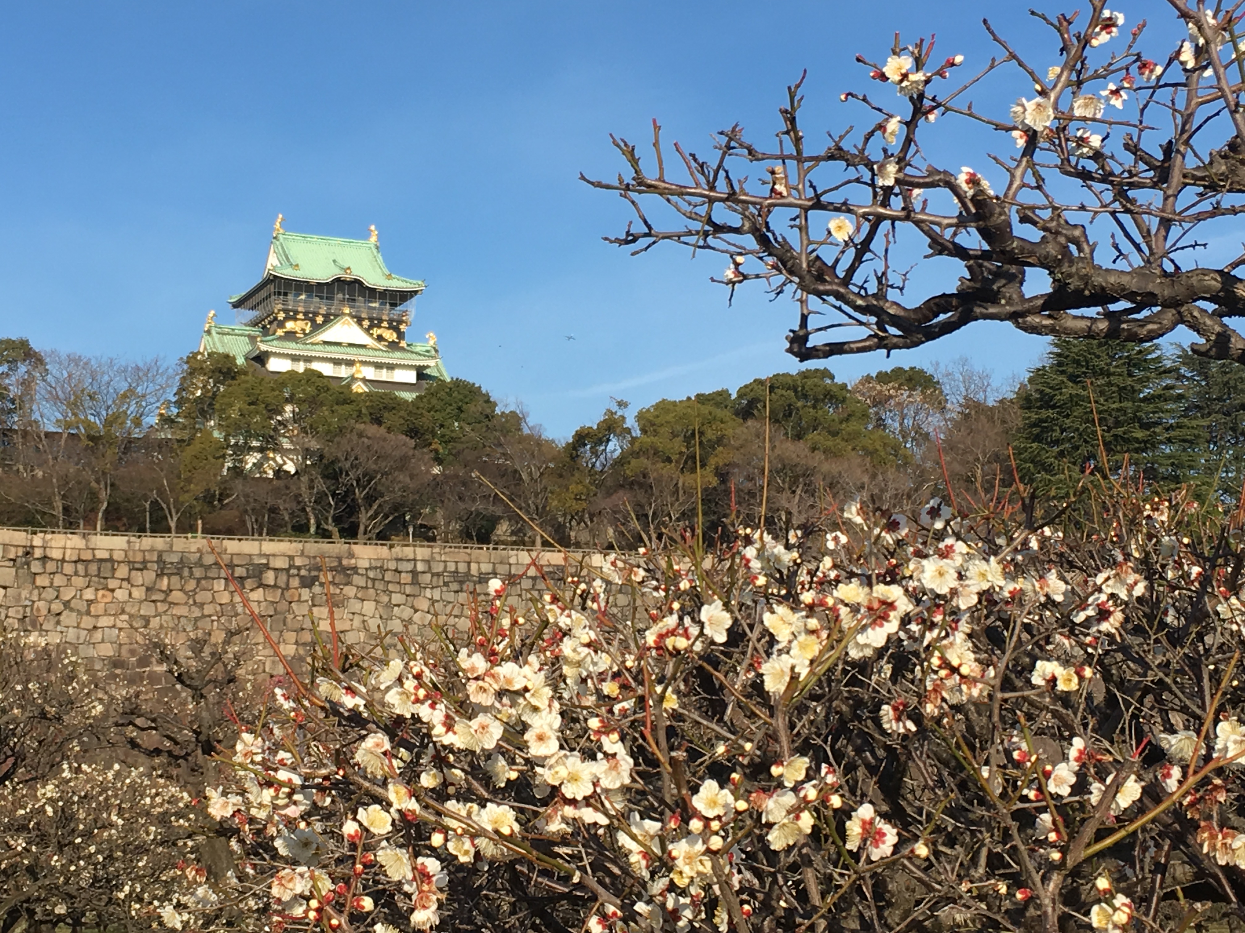 Osaka, Japan: The Small Town That Goes Forever