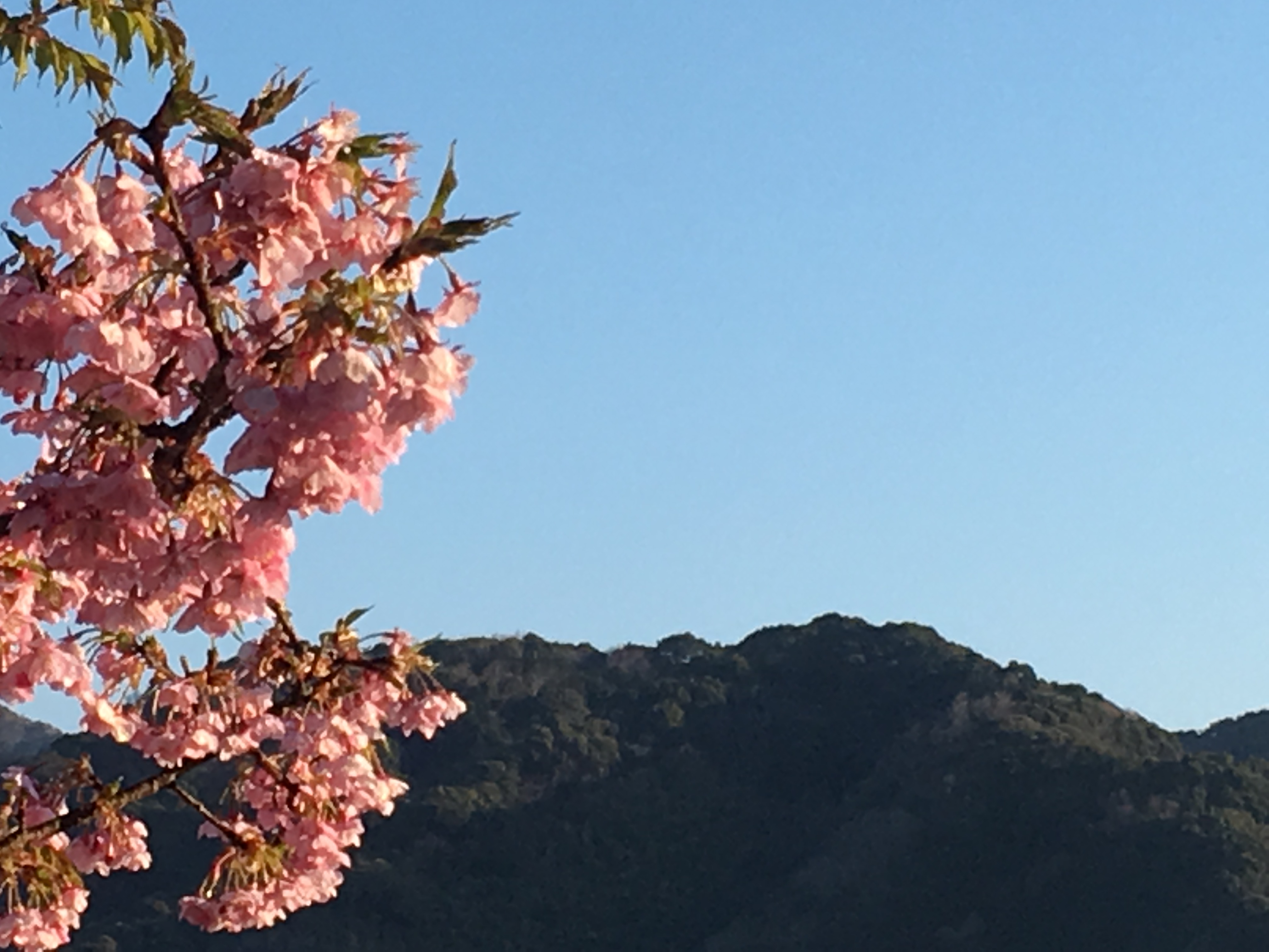 The Izu Peninsula, Japan: Matsuzaki to Kawazu